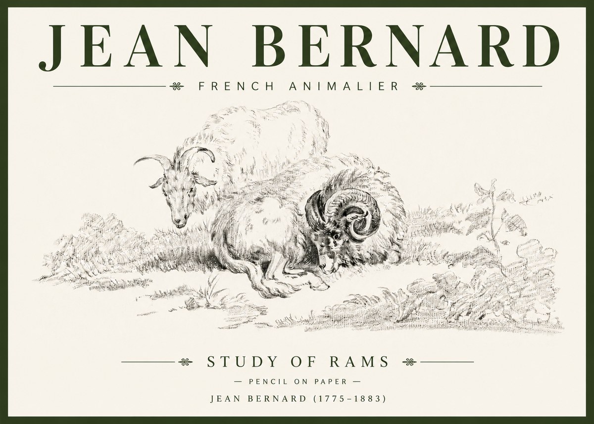 Jean Bernard Study of Sheep No6 - Plakat
