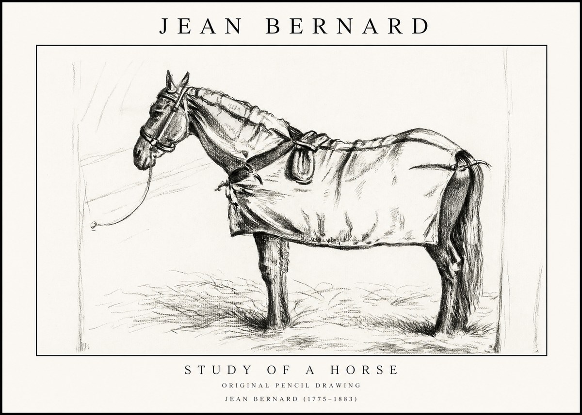 Jean Bernard Study of a Horse XI No1 - Plakat