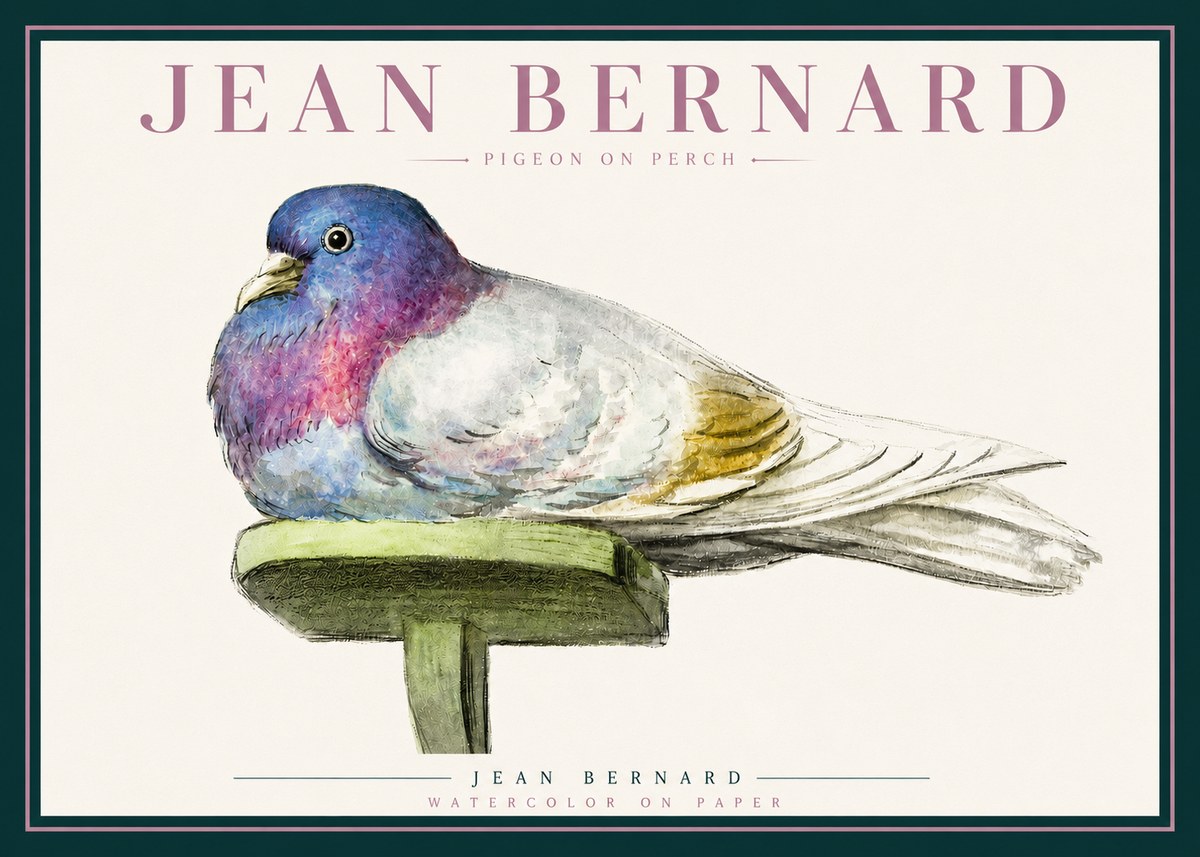 Jean Bernard Pigeon on Perch No3 - Plakat