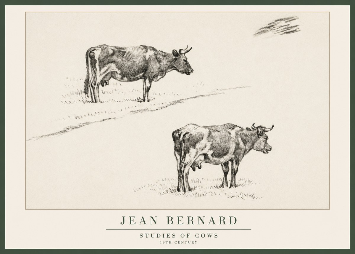 Jean Bernard Studies of Cows III No1 - Plakat