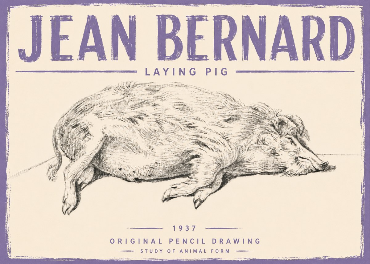 Jean Bernard Laying Pig No5 - Plakat
