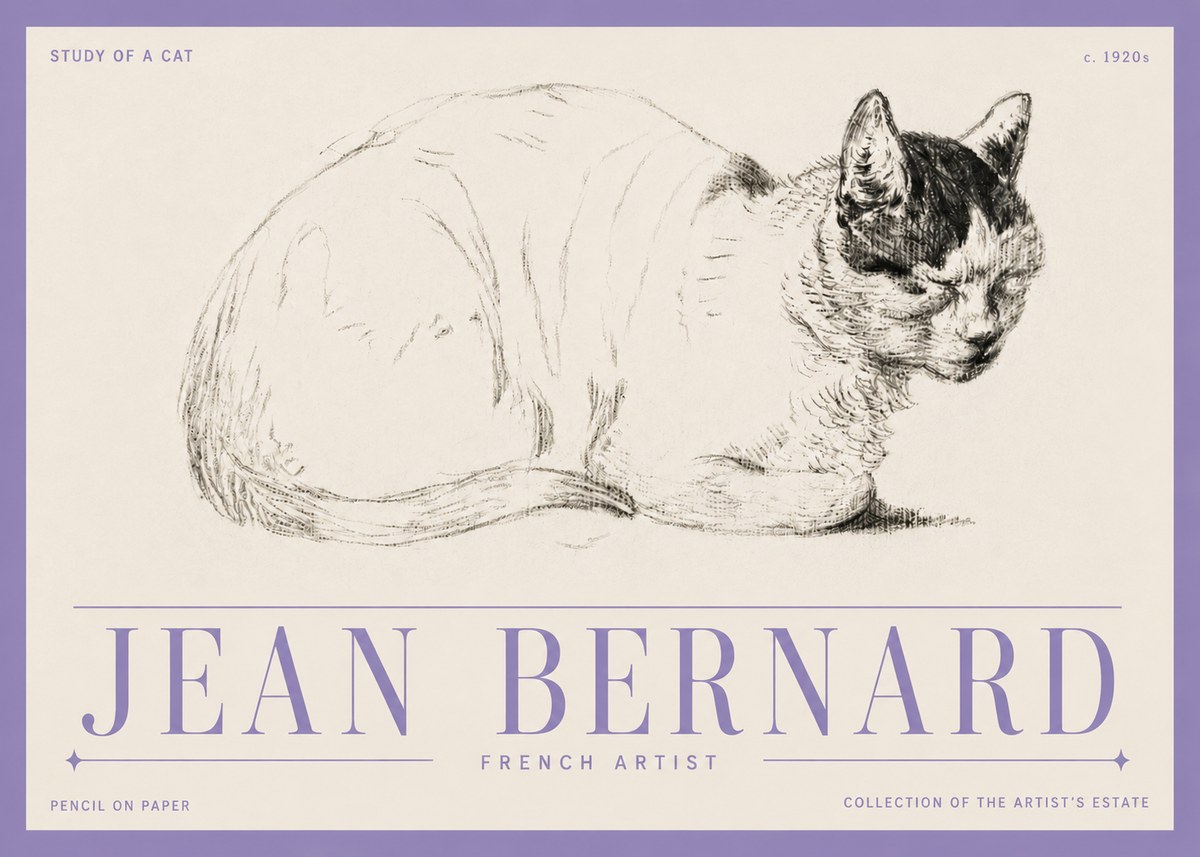 Jean Bernard Study of a Cat III No5 - Plakat
