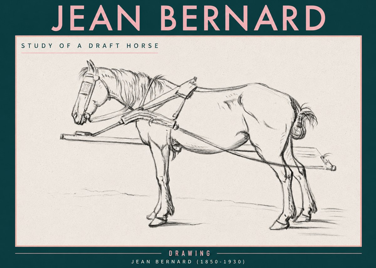 Jean Bernard Study of a Draft Horse II No3 - Plakat