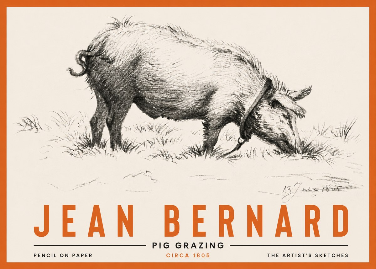 Jean Bernard Pig Grazing No4 - Plakat