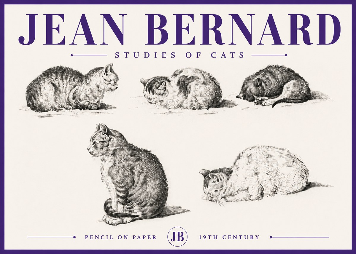 Jean Bernard Studies of Cats No5 - Plakat