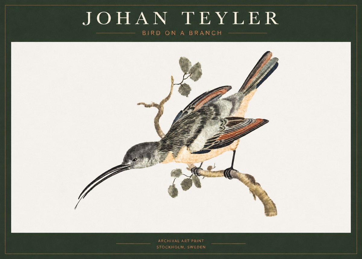 Johan Teyler Bird on a Branch No1 - Plakat