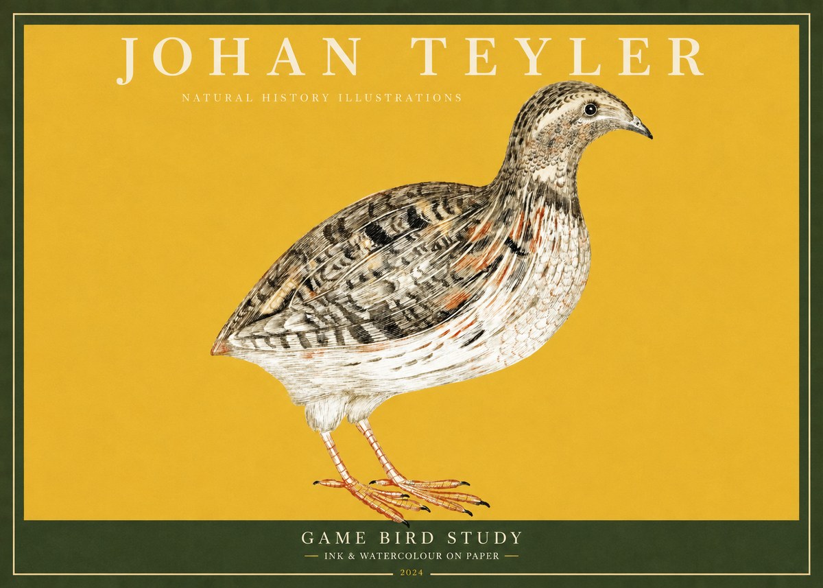 Johan Teyler Game Bird Study No2 - Plakat