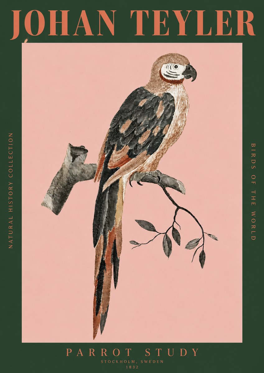 Johan Teyler Parrot Study I No2 - Plakat