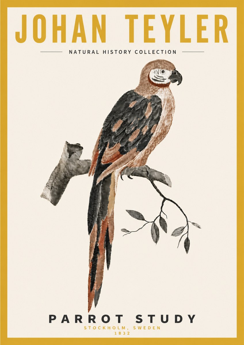Johan Teyler Parrot Study I No4 - Plakat