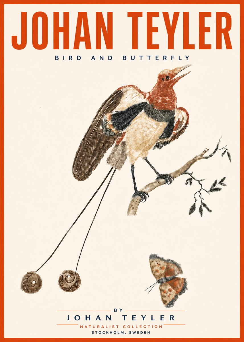 Johan Teyler Bird and Butterfly No5 - Plakat