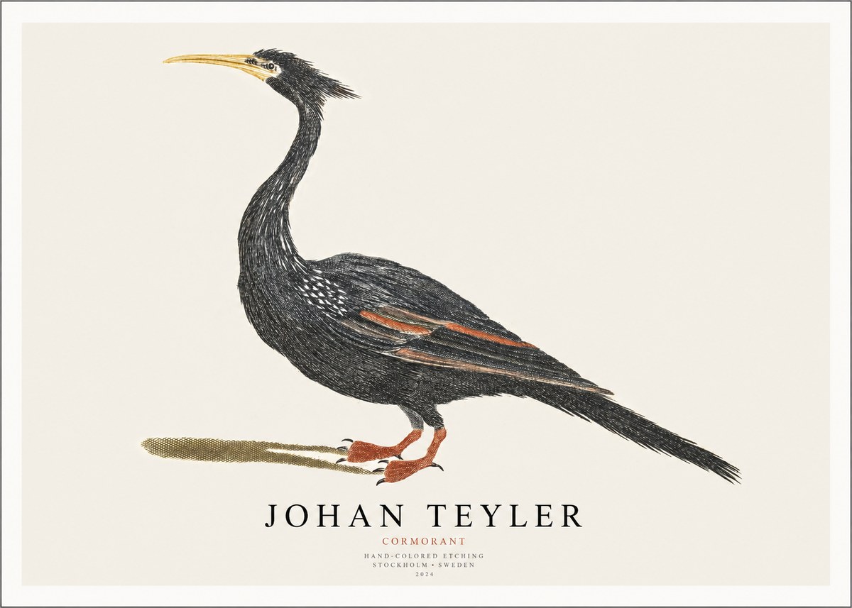 Johan Teyler Cormorant No1 - Plakat