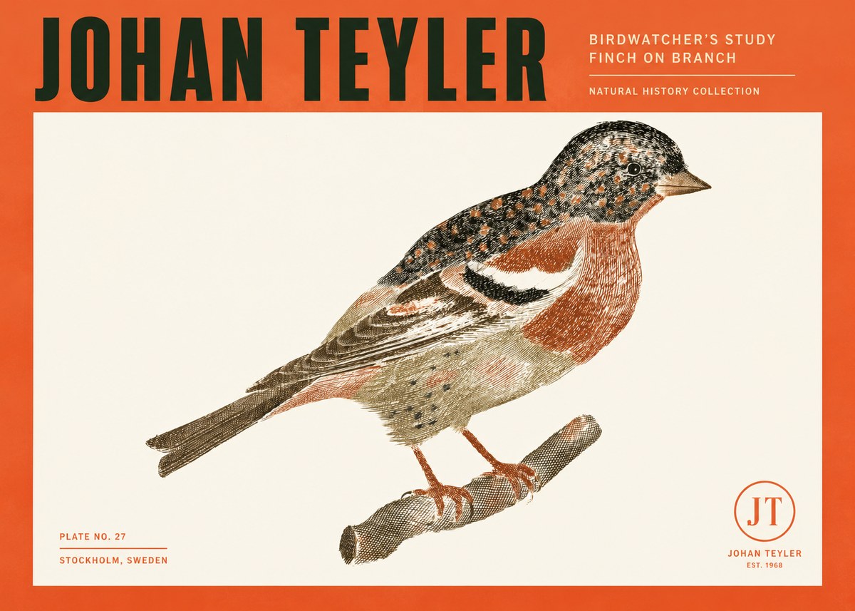 Johan Teyler Finch on Branch No2 - Plakat