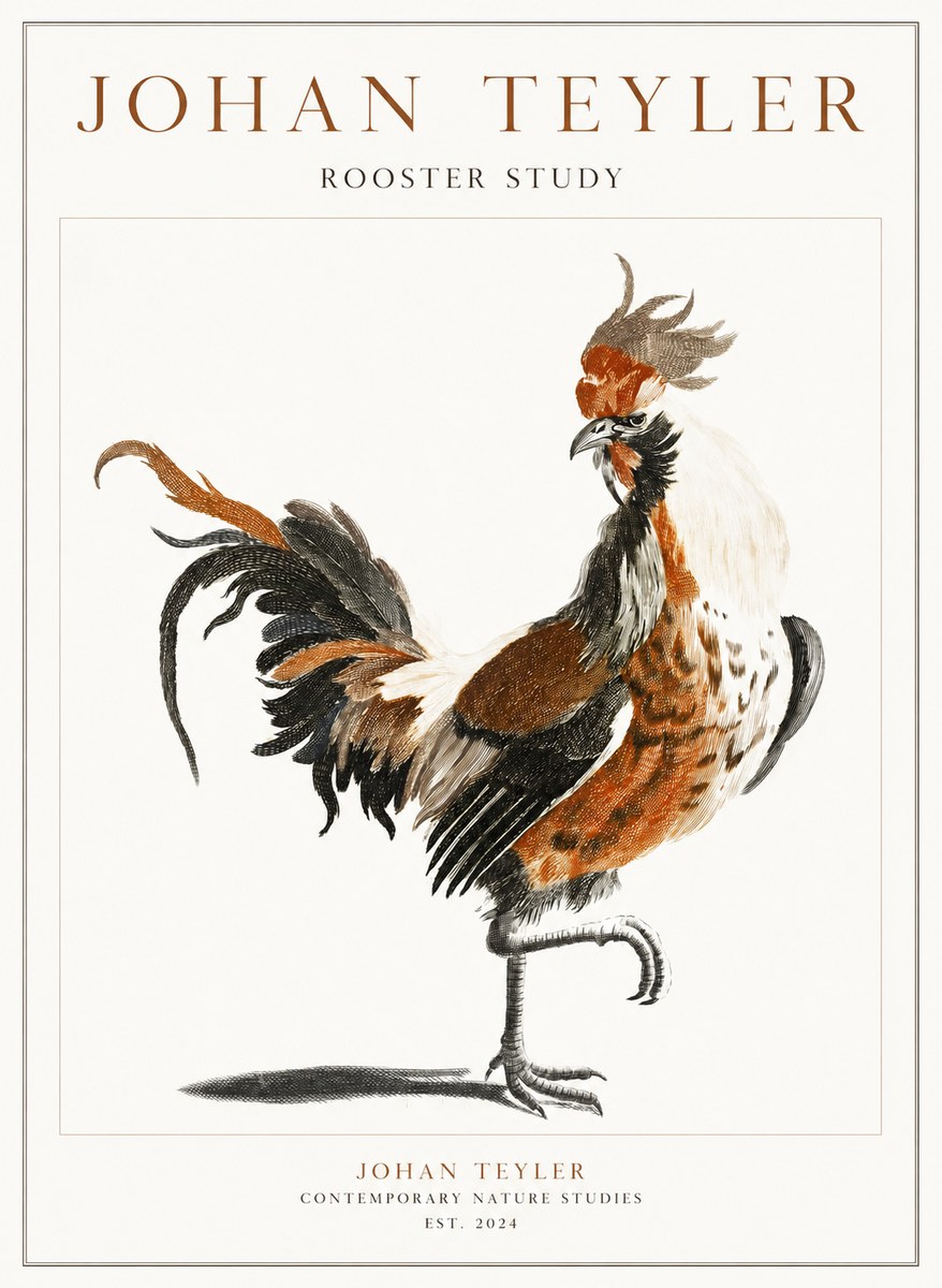 Johan Teyler Rooster Study No1 - Plakat