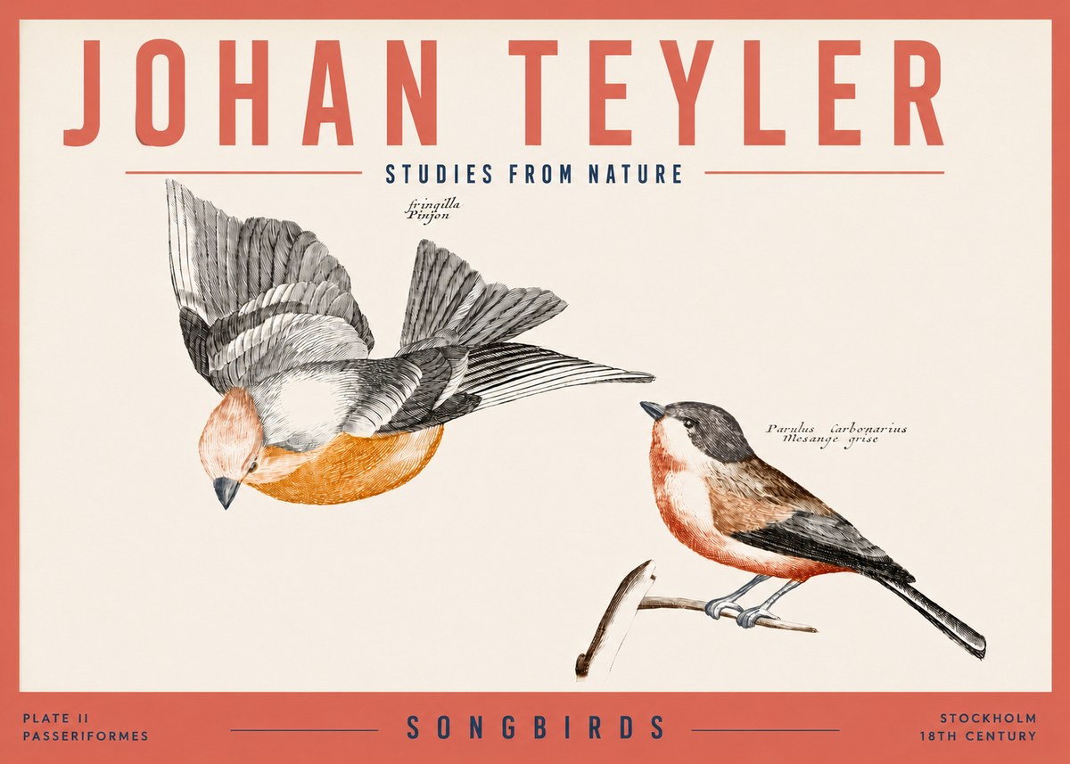 Johan Teyler Songbirds - Plate Ii No3 - Plakat