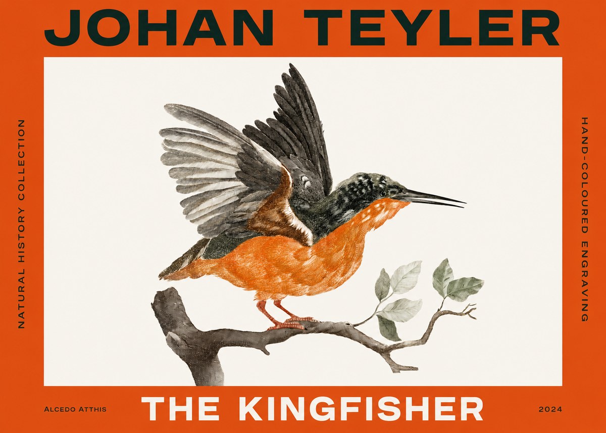 Johan Teyler Kingfisher No4 - Plakat