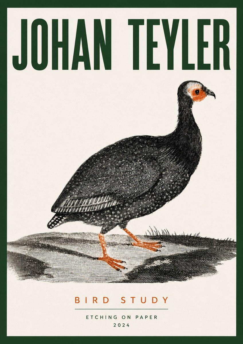 Johan Teyler Bird Study III No3 - Plakat