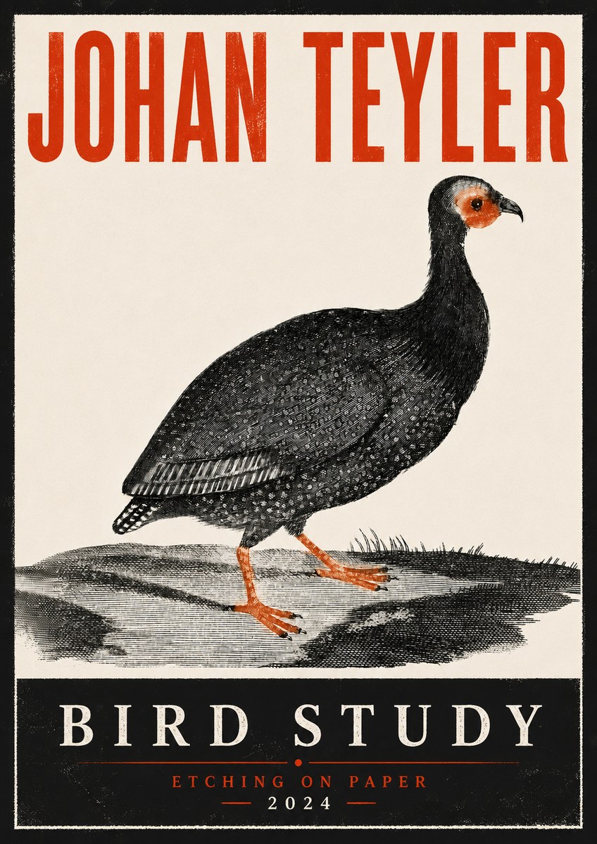Johan Teyler Bird Study III No6 - Plakat