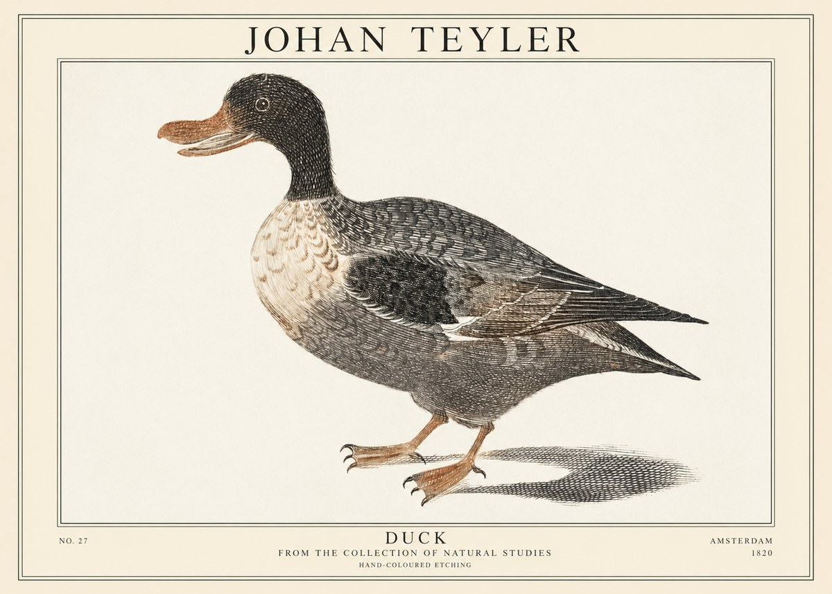 Johan Teyler Duck I No1 - Plakat