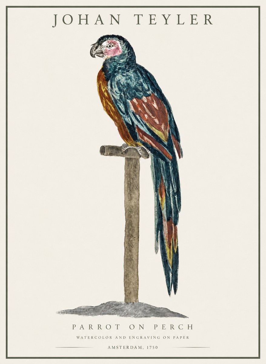 Johan Teyler Parrot on Perch No1 - Plakat