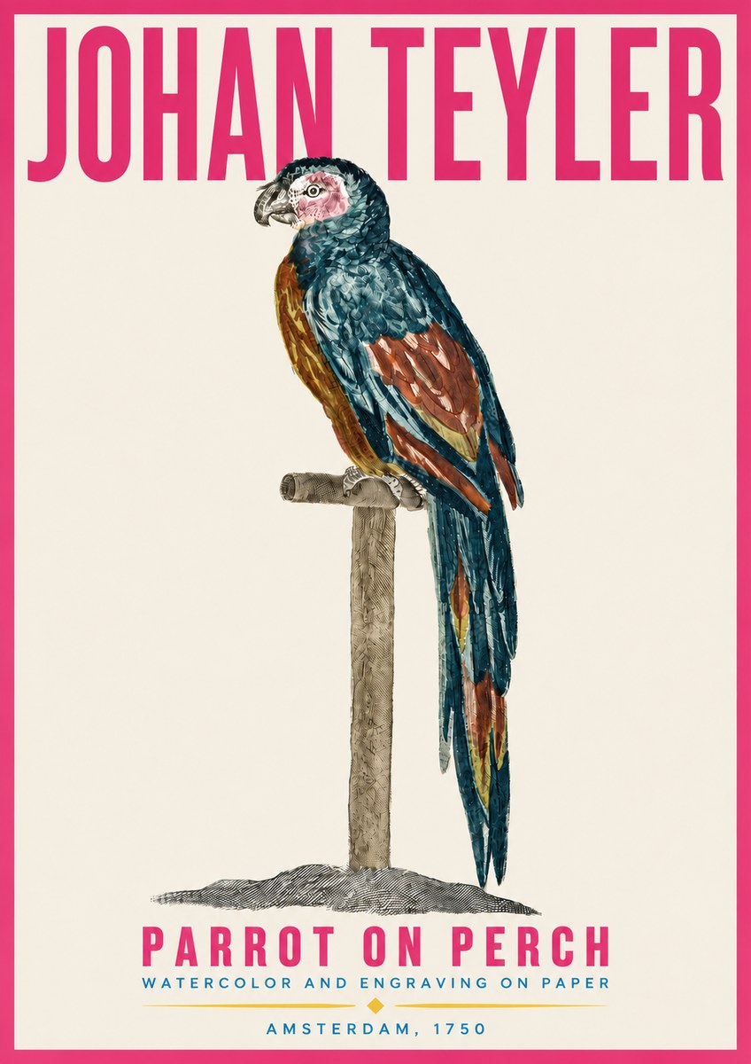 Johan Teyler Parrot on Perch No4 - Plakat