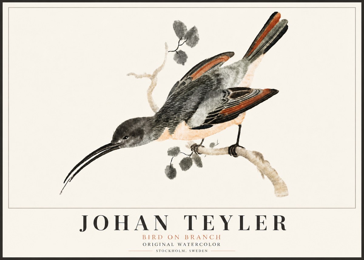 Johan Teyler Bird on Branch II No5 - Plakat