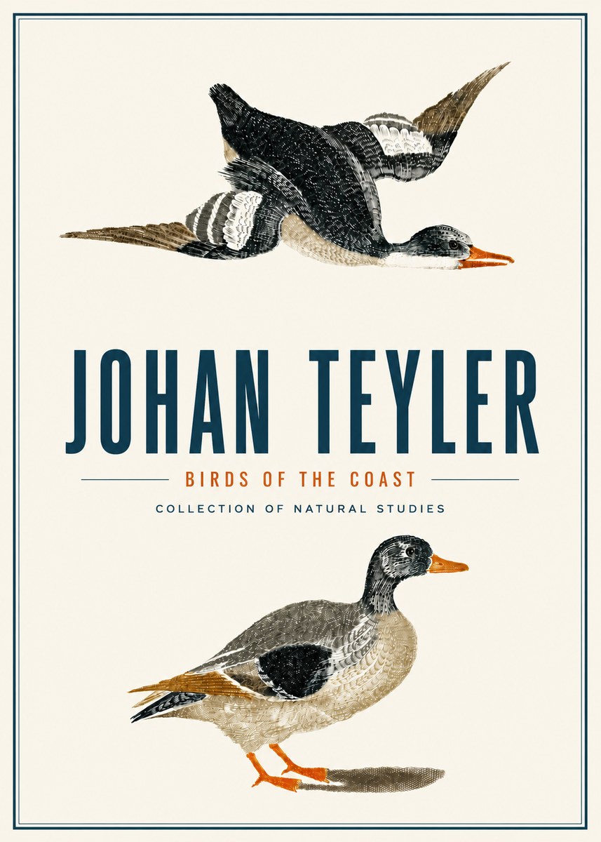 Johan Teyler Birds of the Coast No4 - Plakat