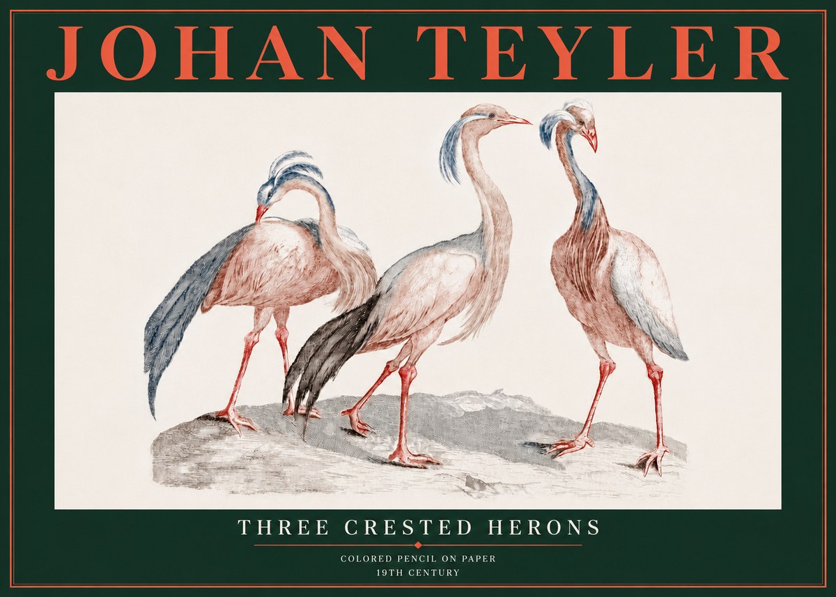 Johan Teyler Three Crested Herons No5 - Plakat