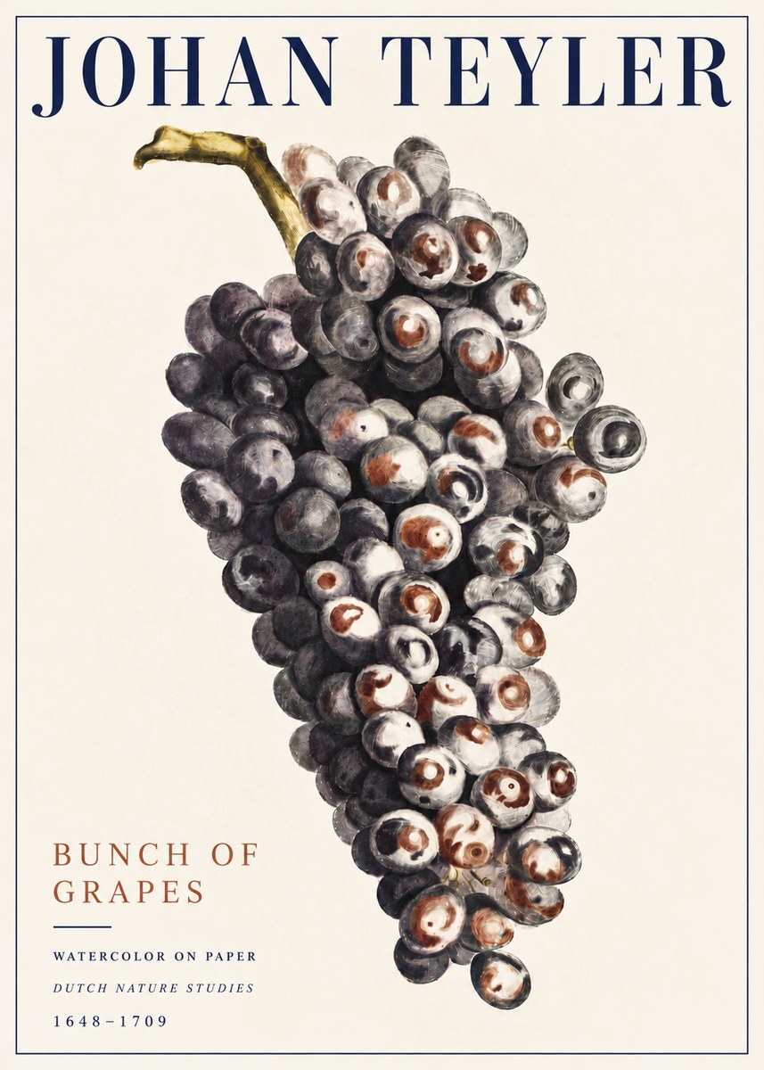 Johan Teyler Bunch of Grapes No5 - Plakat