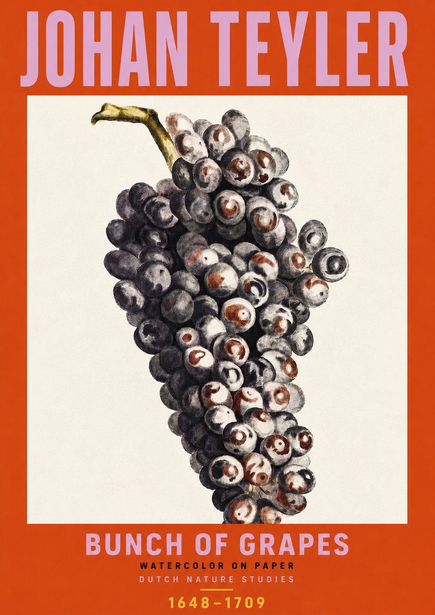 Johan Teyler Bunch of Grapes No6 - Plakat