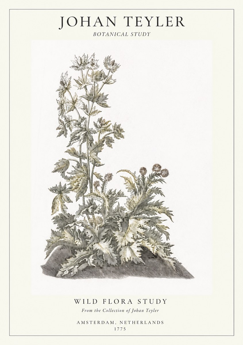 Johan Teyler Wild Flora Study No1 - Plakat
