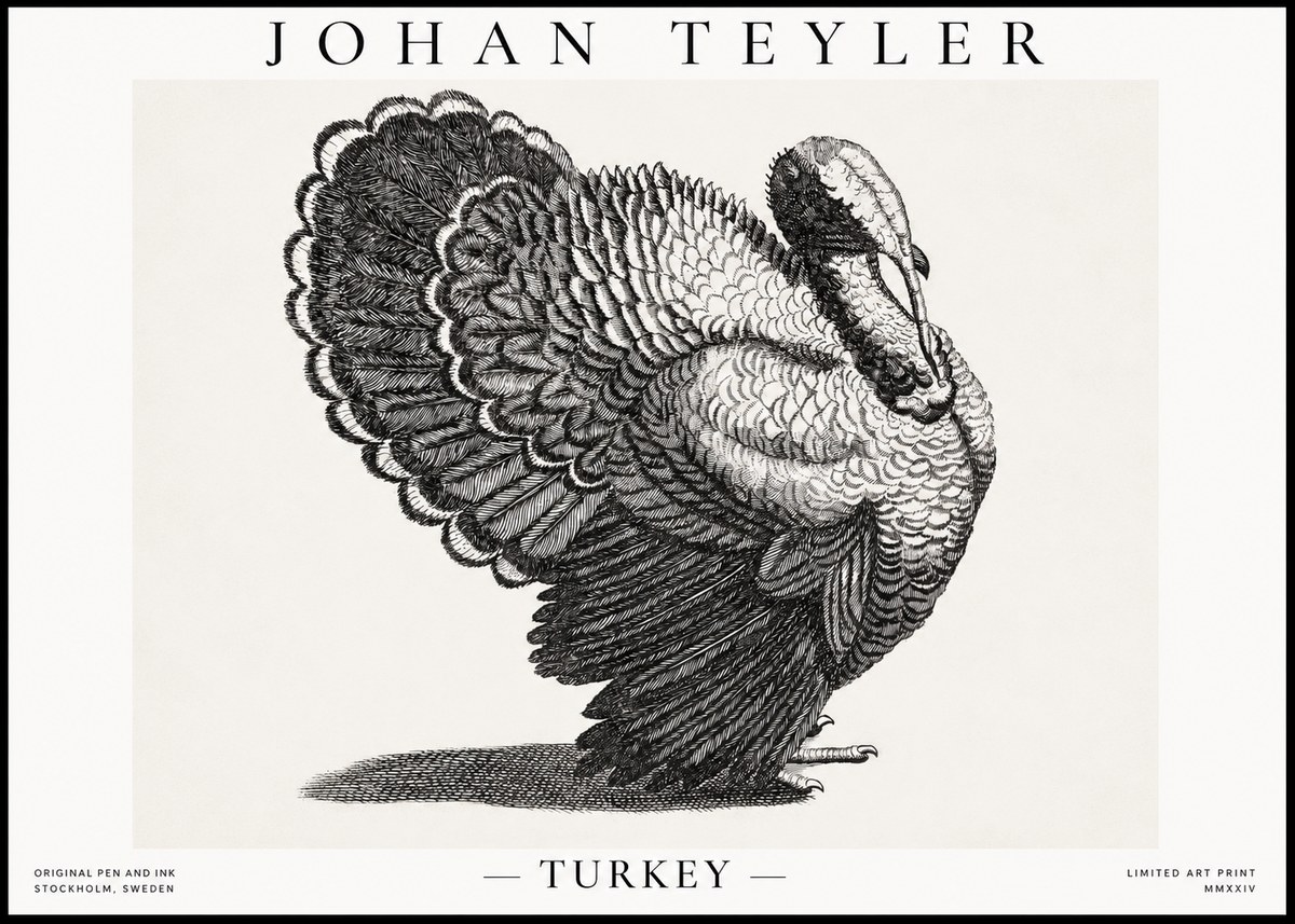 Johan Teyler Turkey No1 - Plakat