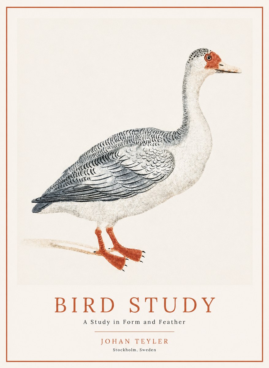 Johan Teyler Goose Study No2 - Plakat
