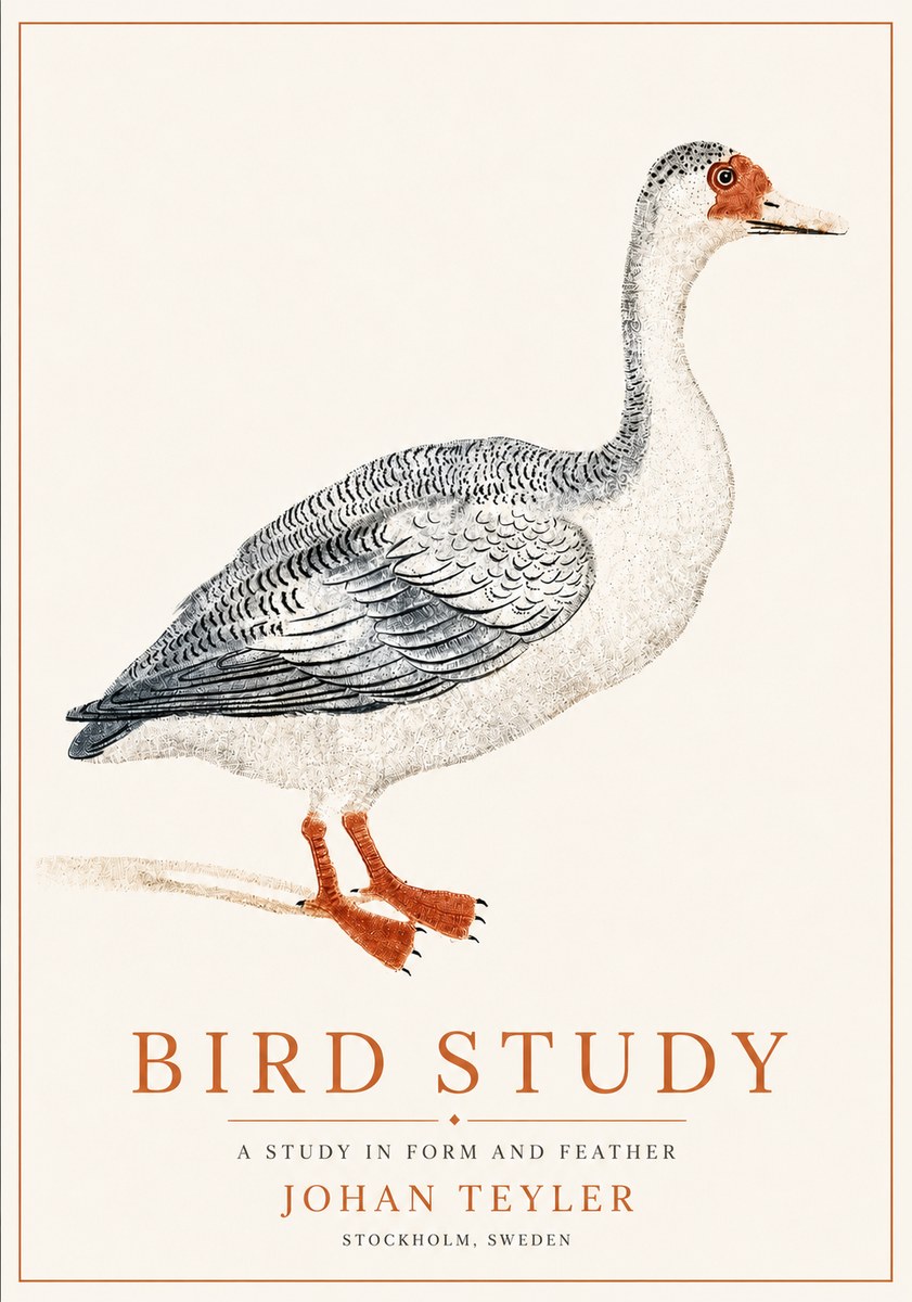 Johan Teyler Goose Study No6 - Plakat