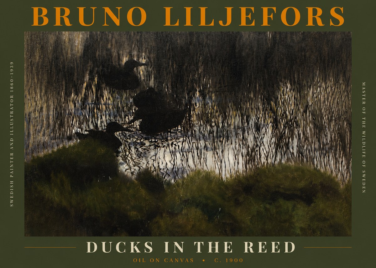 Bruno Liljefors Ducks in the Reed No3 - Plakat