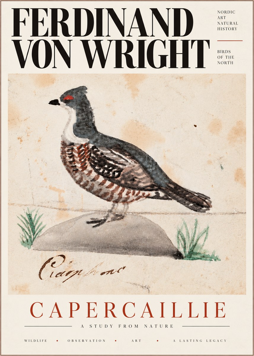 Ferdinand von Wright Grouse No6 - Plakat