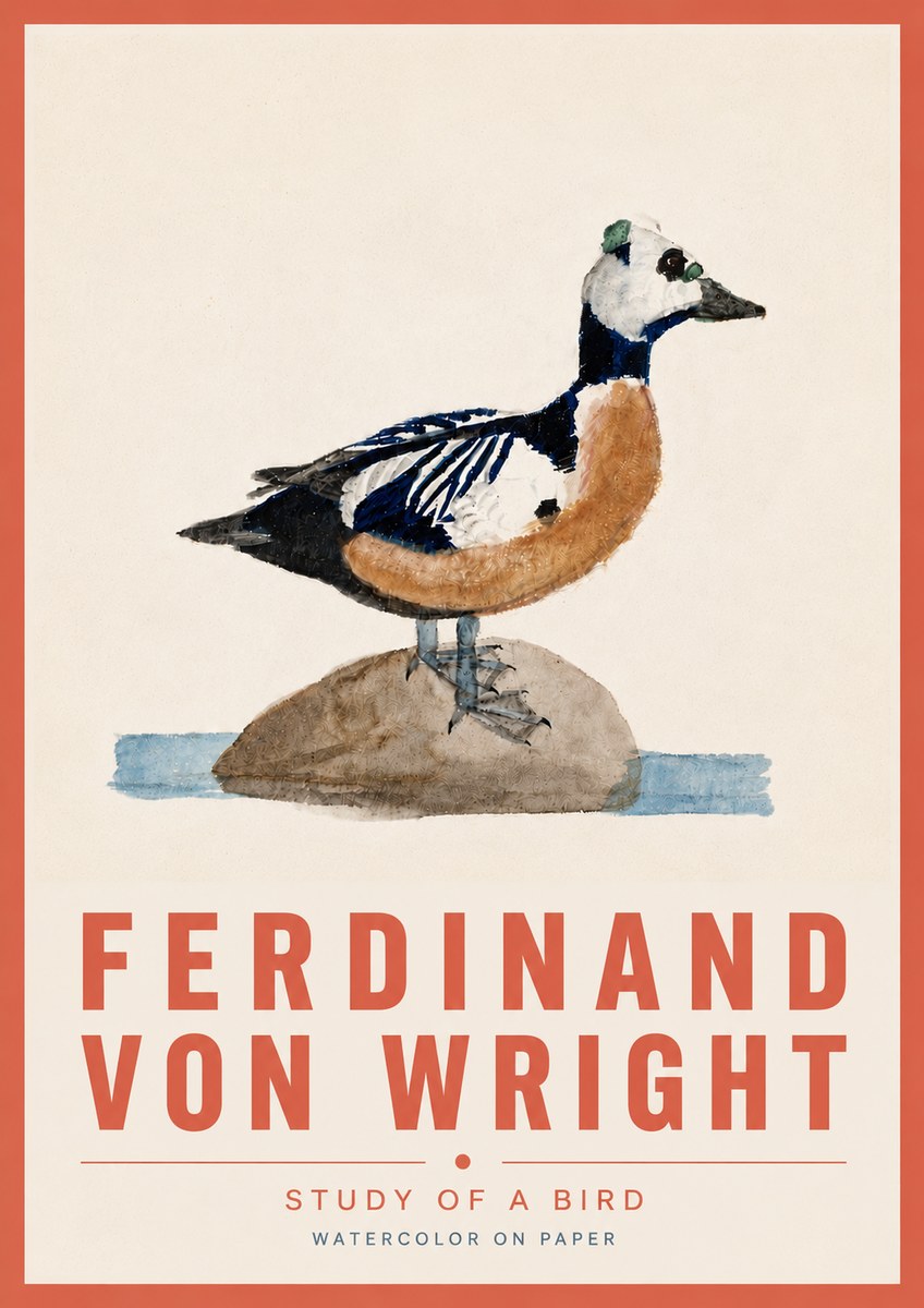 Ferdinand von Wright Study of a Bird No6 - Plakat