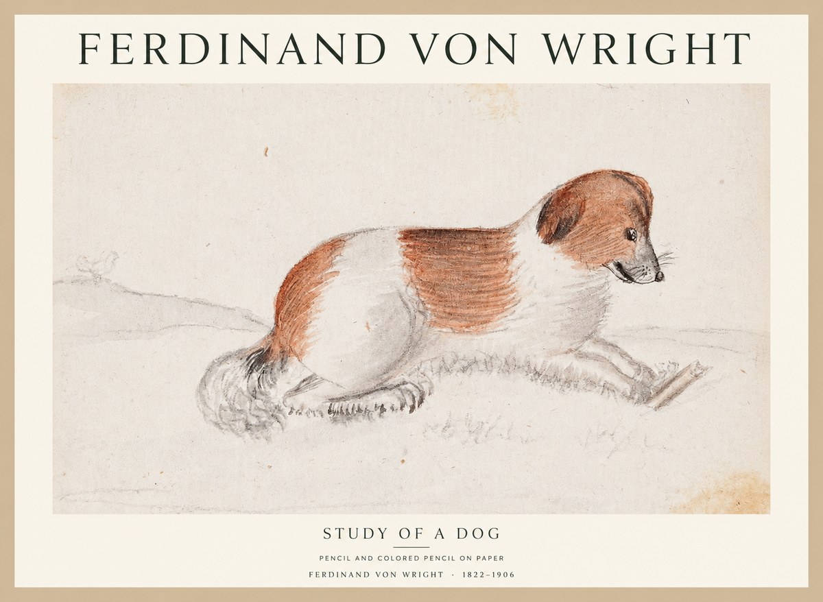 Ferdinand von Wright Study of a Dog No1 - Plakat