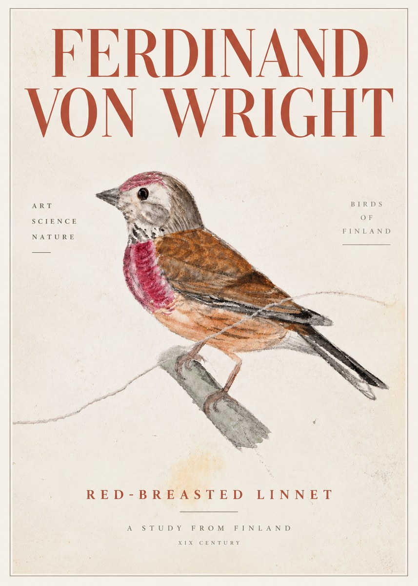 Ferdinand von Wright Bird Study No5 - Plakat